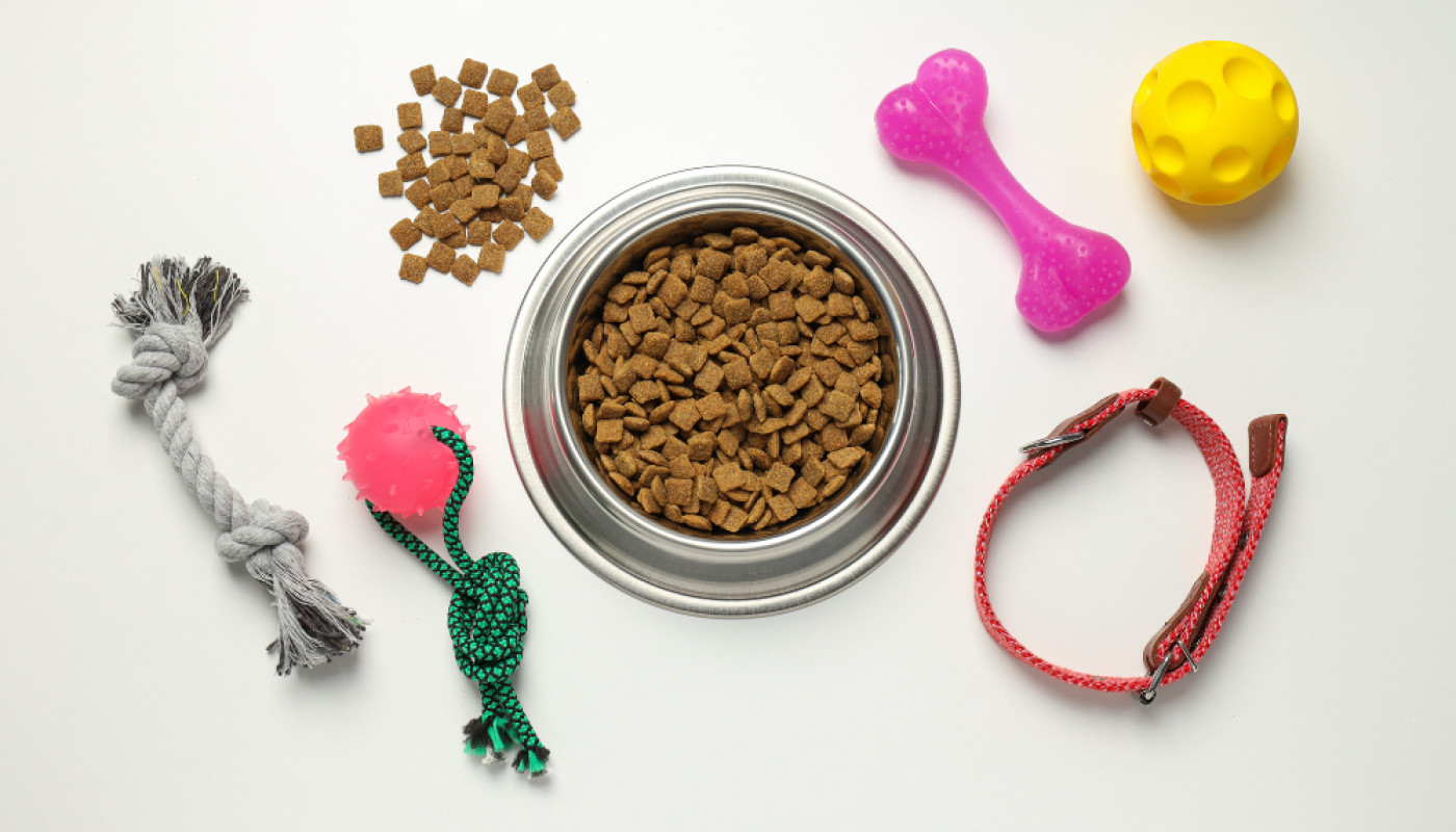 Où dénicher les meilleurs accessoires pour chat ?
